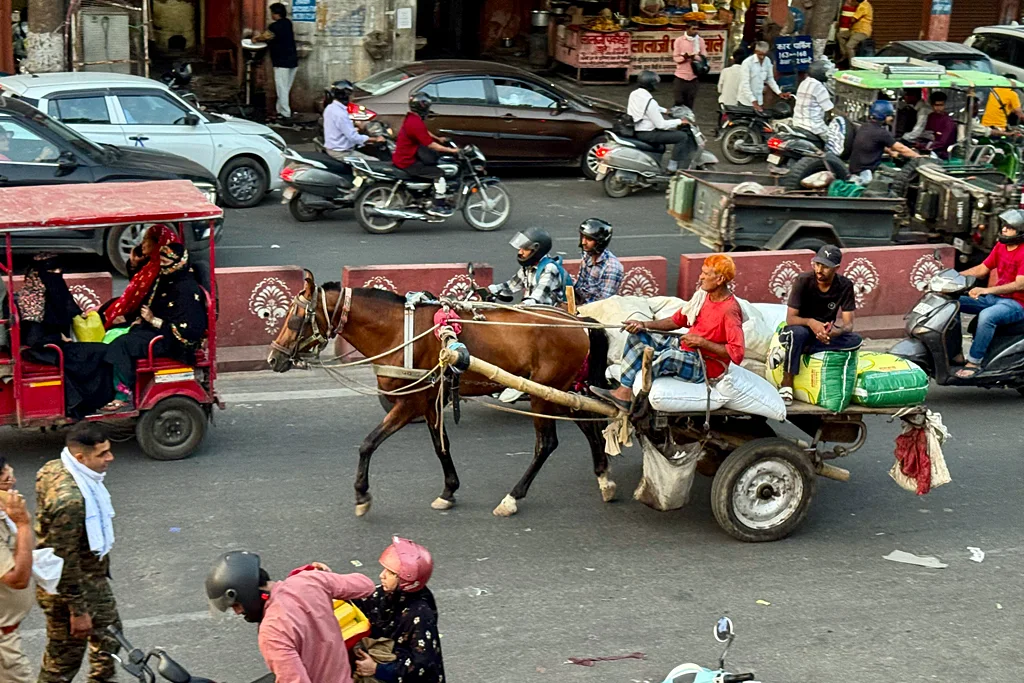 Horse Cart in Trafic
